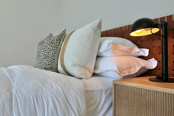 Construire une maison écologique : le guide incontournable pour un habitat vert et durable