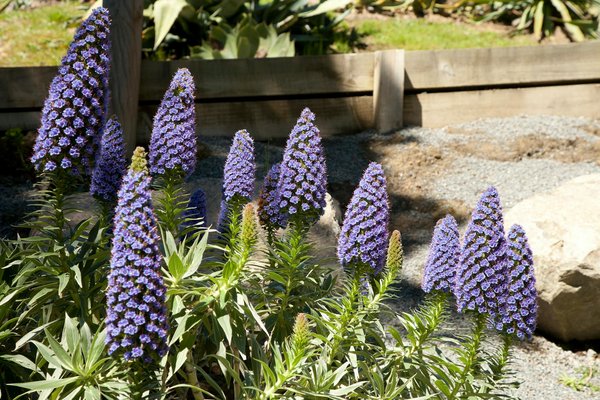 Sécurité Enfantine : Mobilier de Jardin Idéal pour les Petits Aventuriers