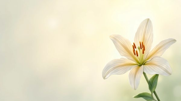 Fleur de jéricho : révélations sur ses incroyables bienfaits