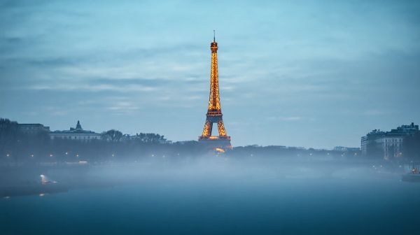 Les meilleures entreprises de dératisation à Paris : notre sélection