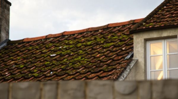 Meilleurs couvreurs à Vitré : services en toiture et zinguerie
