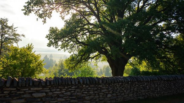 Occultation extérieure : 5 astuces pour choisir votre toile brise vue