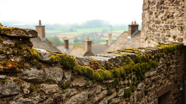 Top 5 méthodes éprouvées contre l'humidité en Normandie